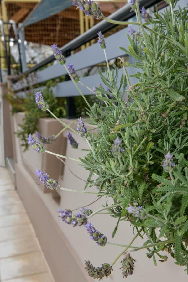 Aromatic Home Kíssamos Exteriér fotografie